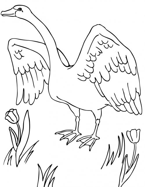 Goose with spread wings coloring page