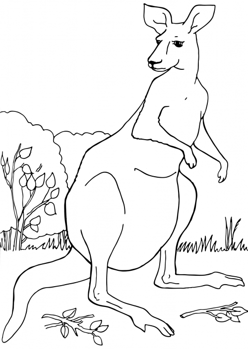 Sad kangaroo coloring page