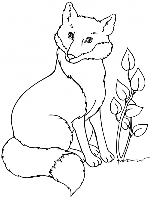 Surprised fox coloring page