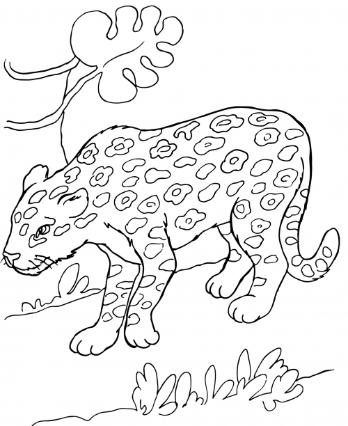 Majestic jaguar coloring page