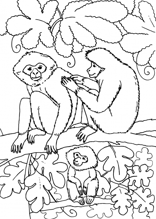 Family of monkeys in a tree coloring page