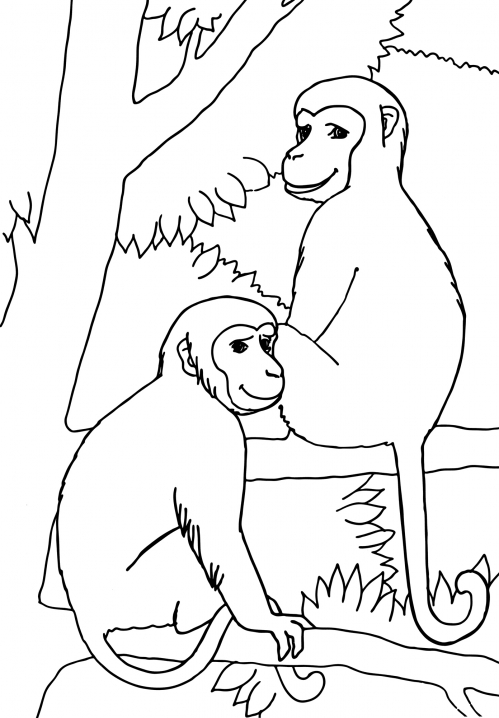 Two smiling monkeys coloring page