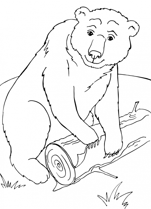 Bear standing on a log coloring page