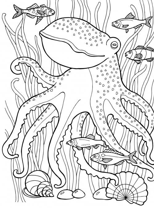 Octopus on the seabed coloring page