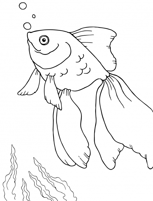 Goldfish coloring page