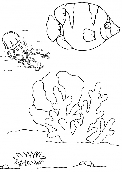 Fish and its mate coloring page