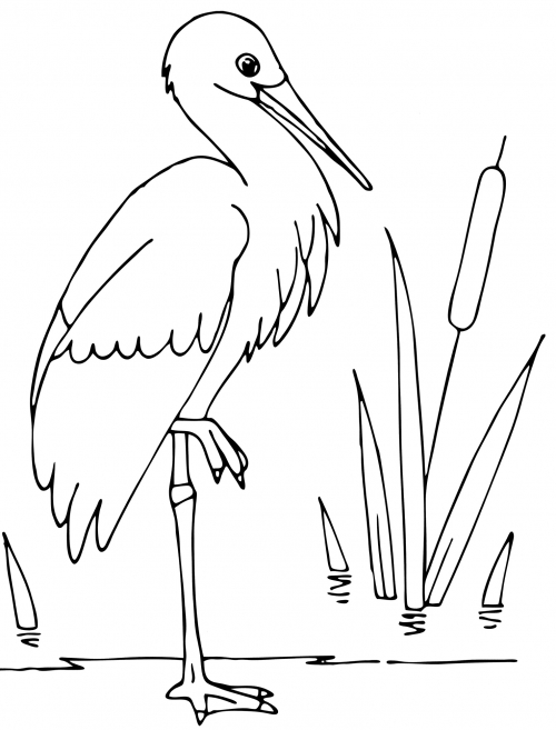 Kind stork coloring page