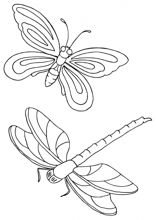 Butterfly and dragonfly coloring page