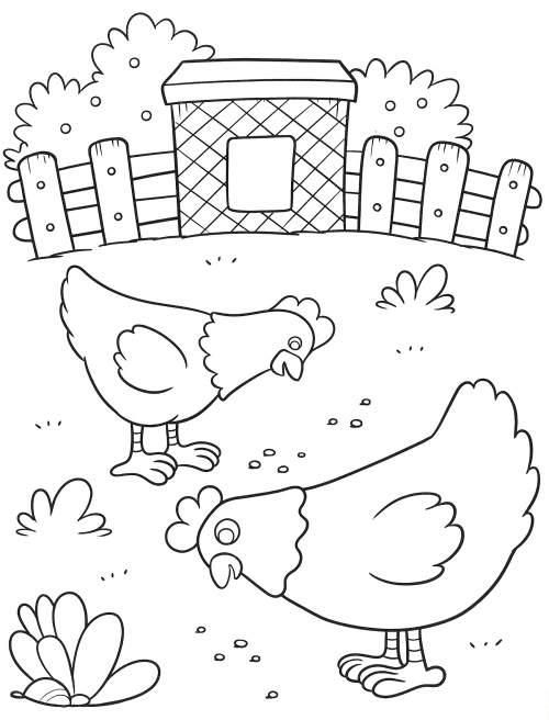 Chickens pecking at grains coloring page
