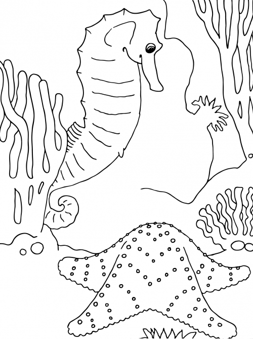 Seahorse and its mate coloring page