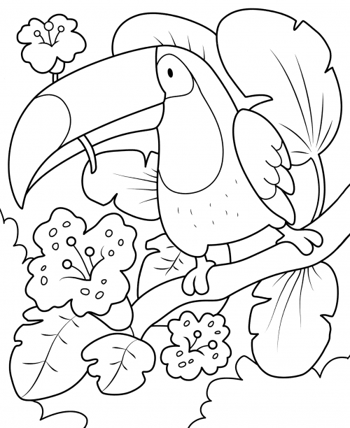 Toucan in the jungle coloring page