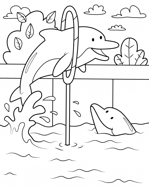 Dolphins jumping through the ring coloring page