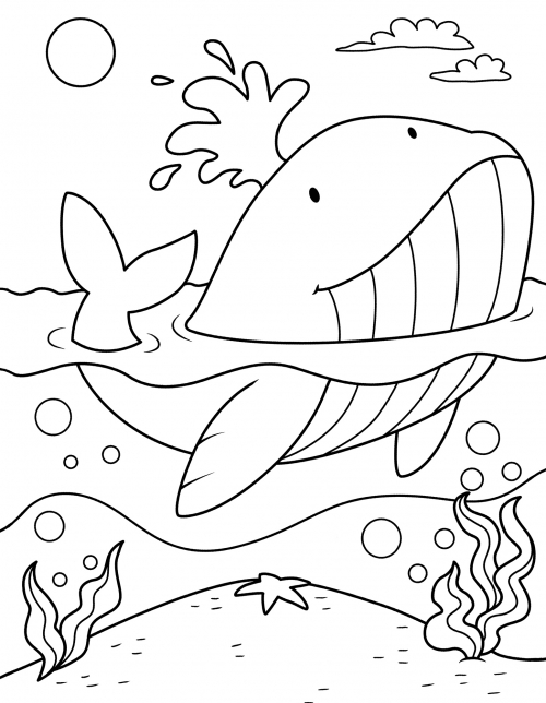 Marvellous whale coloring page