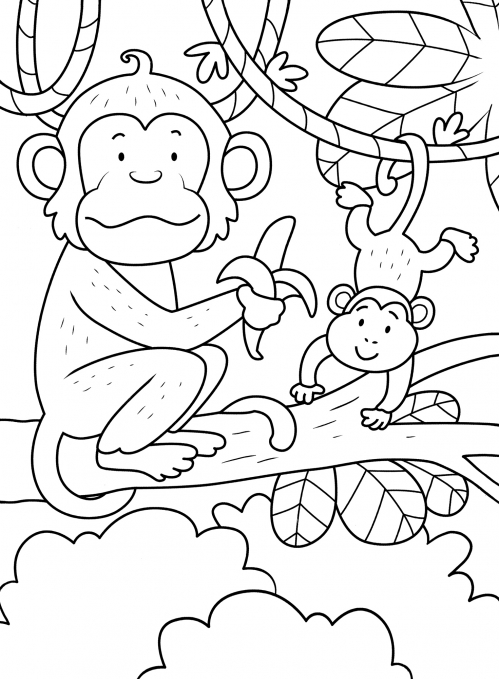 Two monkeys in the jungle coloring page