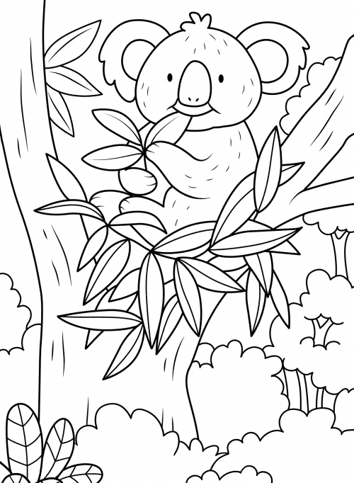 Koala eats eucalyptus coloring page