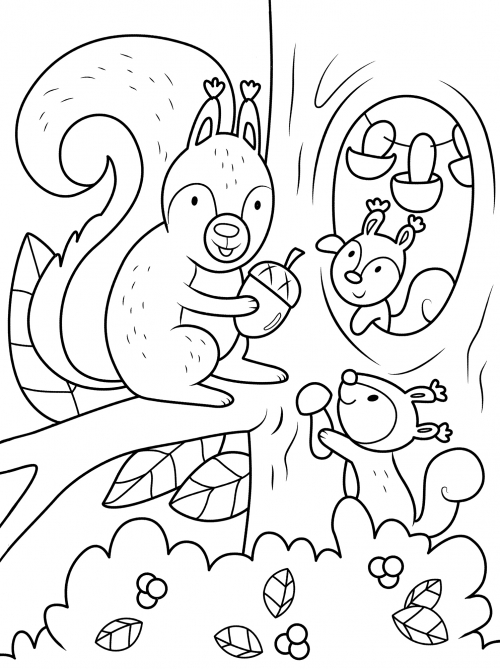 Squirrel and its squirrel cubs coloring page