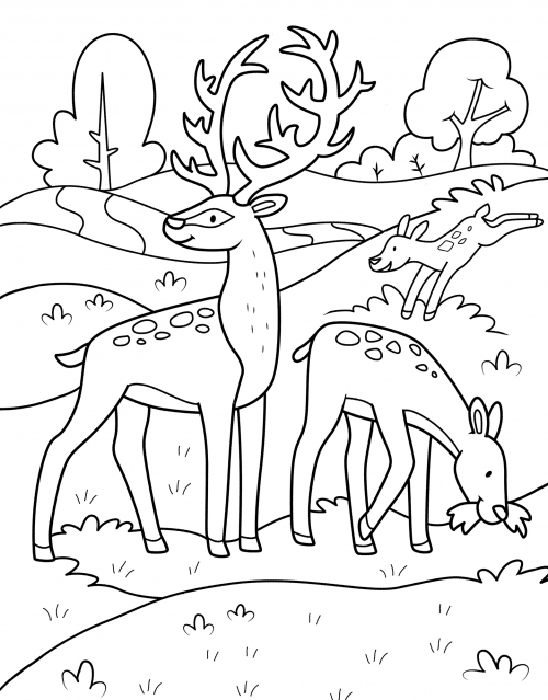 Reindeer and its family coloring page