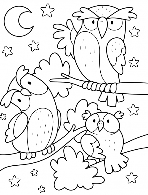 Owls in the night forest coloring page