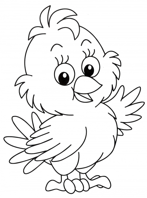 Fluffy chicken coloring page