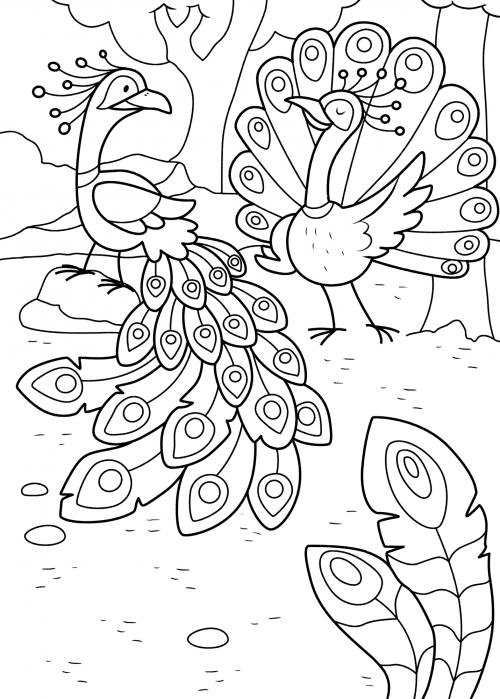 Family of brightly coloured peacocks coloring page