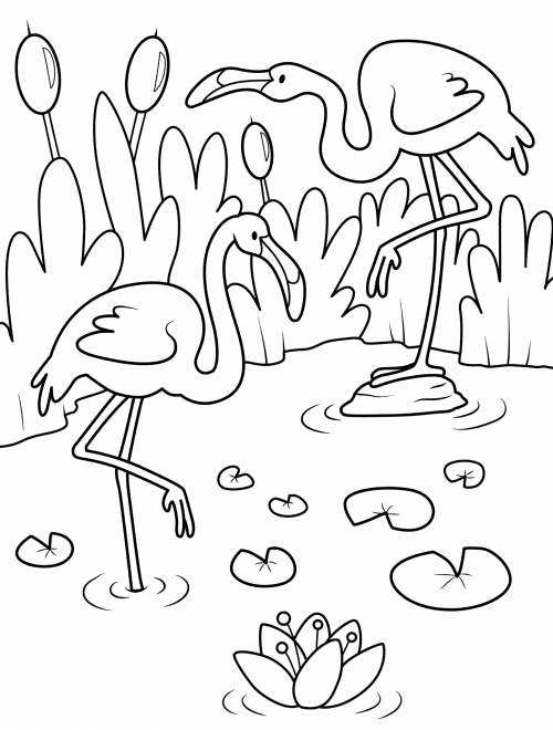 Relaxed flamingos coloring page