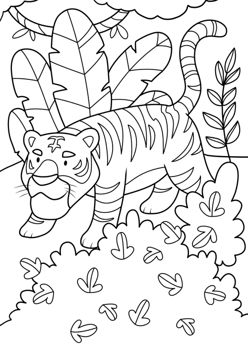 Tiger on the hunt coloring page