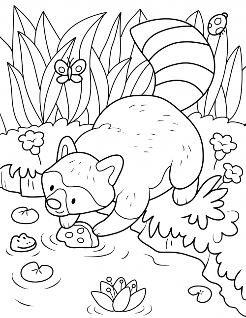 Brave raccoon coloring page