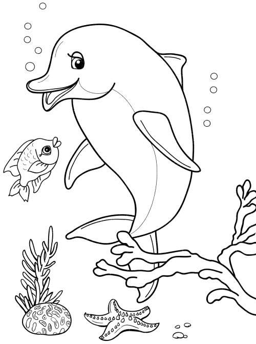 Shy dolphin coloring page