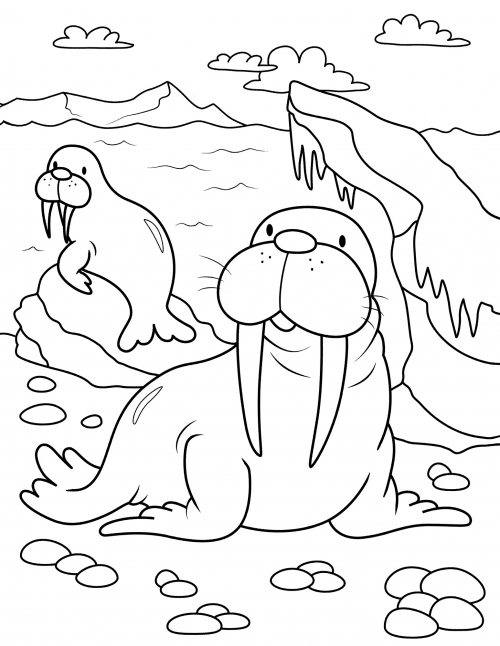 Cute walruses coloring page