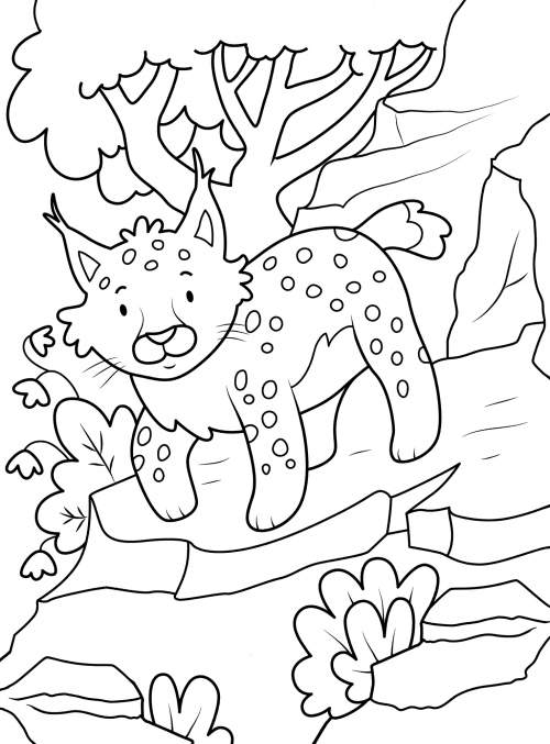 Little lynx coloring page