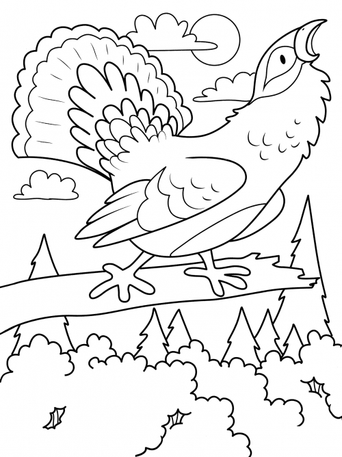 Beautiful grouse coloring page