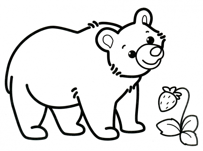 Bear found a raspberry coloring page