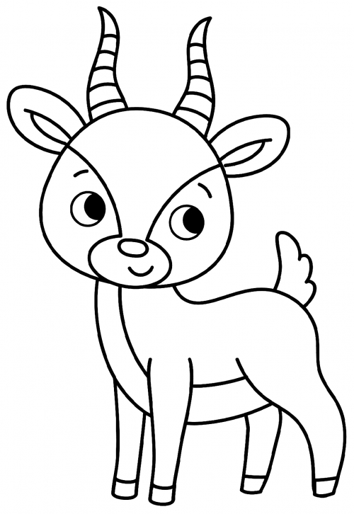 Little antelope coloring page