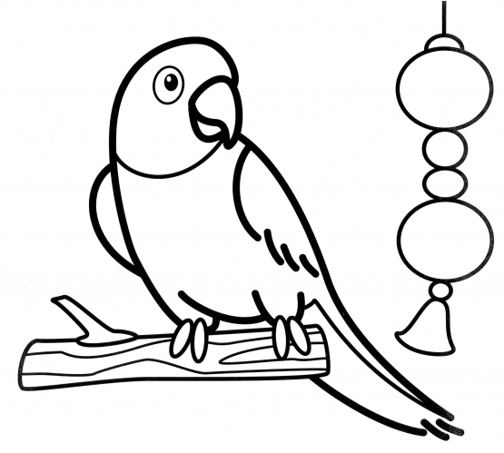 Parrot on a twig coloring page