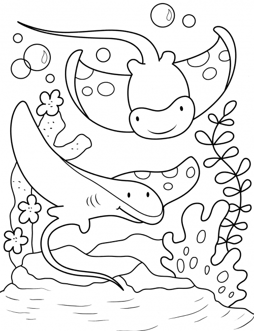 Beautiful stingrays coloring page