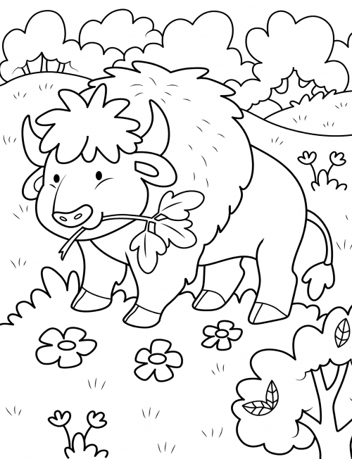 Bison eats grass coloring page