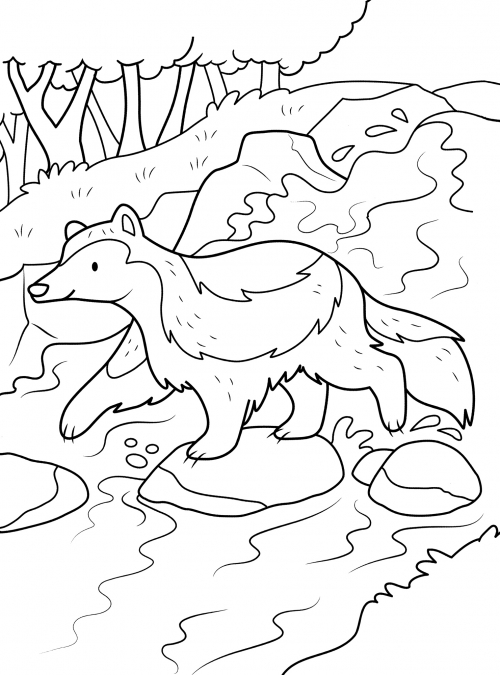 Cute skunk coloring page