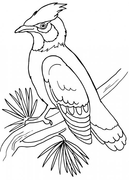 Wise woodpecker coloring page