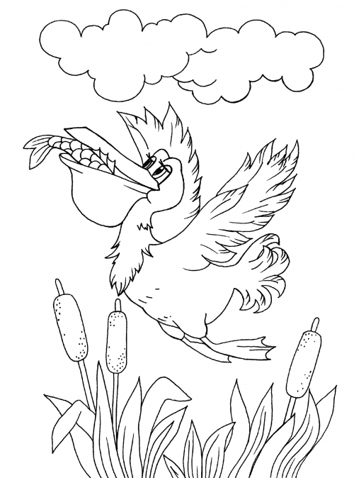 Pelican with a fish in its mouth coloring page