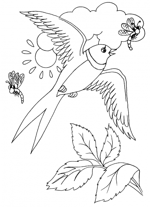 Delightful swift coloring page