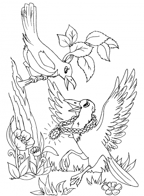 Boastful magpie coloring page