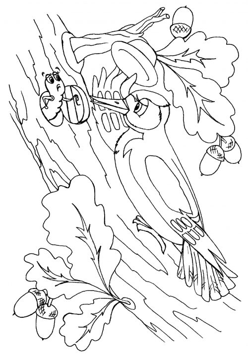 Sociable woodpecker coloring page