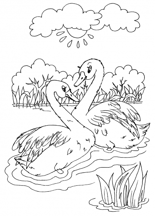 Beautiful swans coloring page