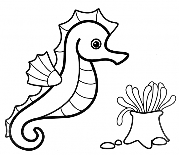 Seahorse and seaweed coloring page