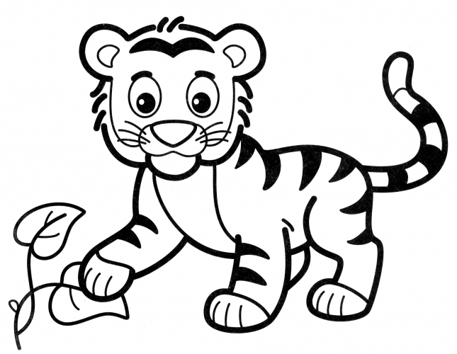 Little tiger cub coloring page