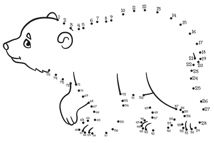 Charming polar bear coloring page