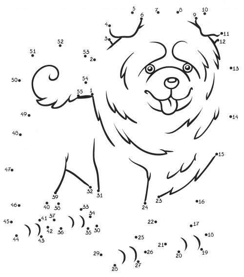 Chow chow with its tongue out coloring page