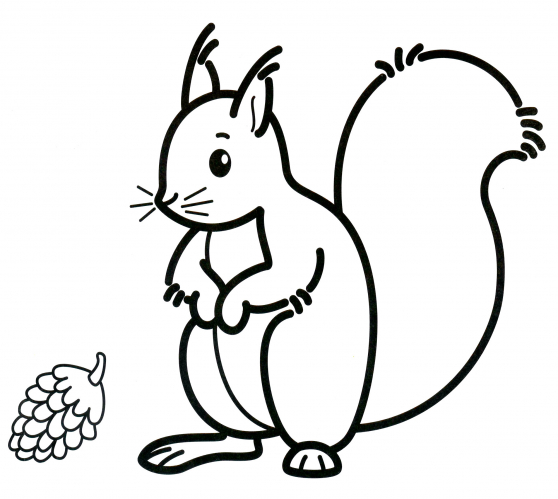 Squirrel with a cone coloring page