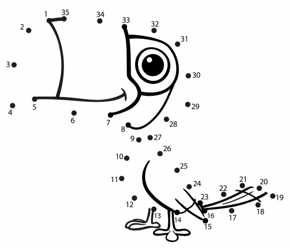 Baby toucan coloring page