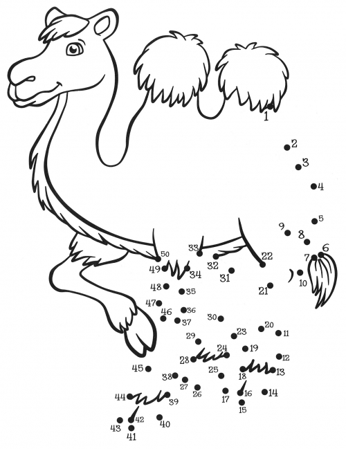 The camel lifted its leg coloring page